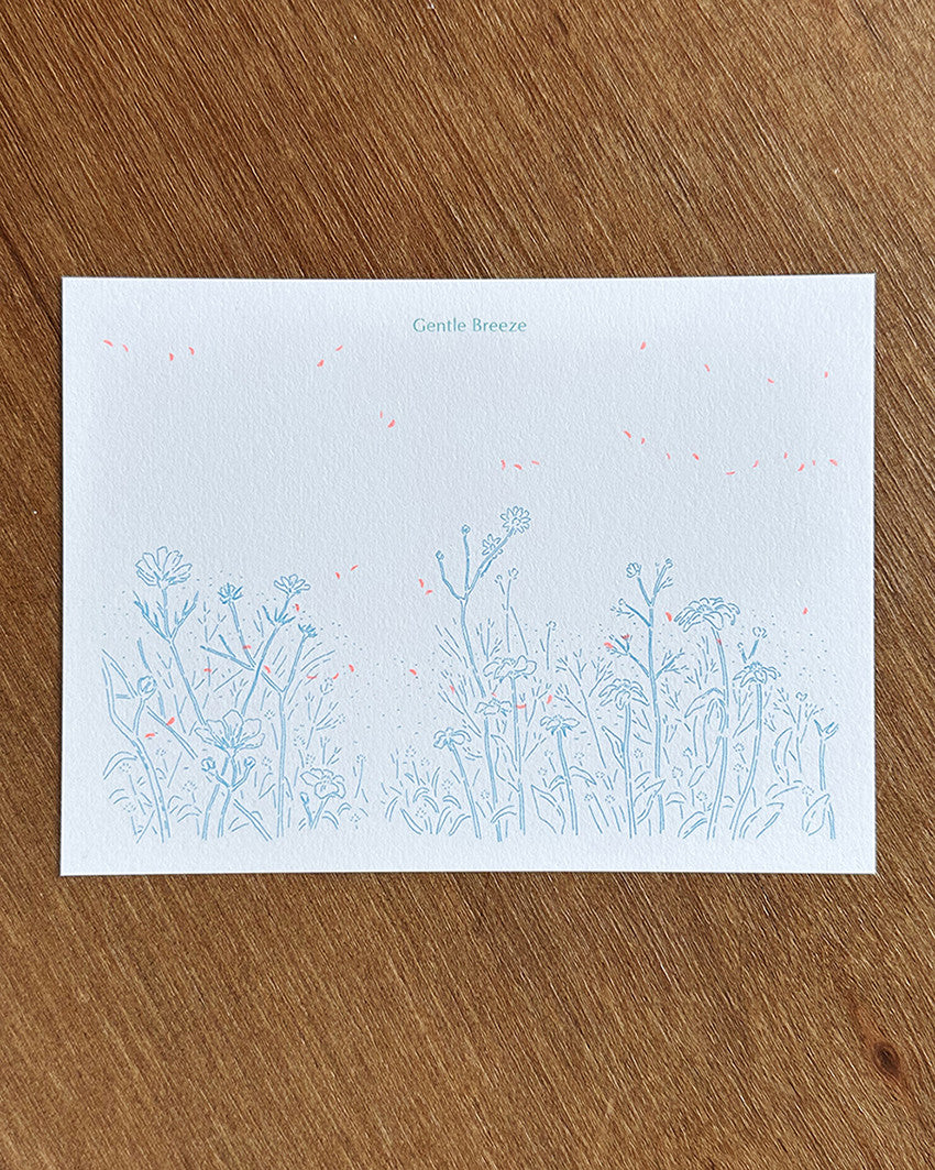 Gentle Breeze 엽서 - PAPER PLATE 페이퍼플레이트 - CAVA LIFE