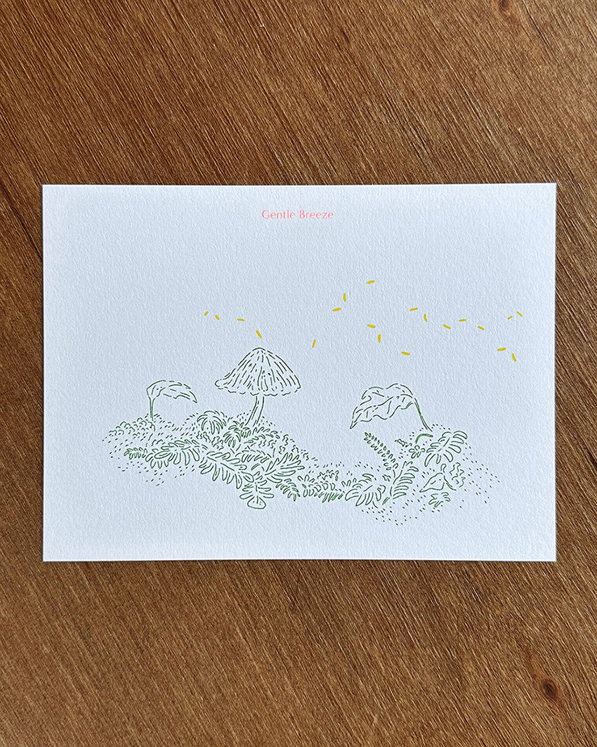 Gentle Breeze 엽서 - PAPER PLATE 페이퍼플레이트 - CAVA LIFE