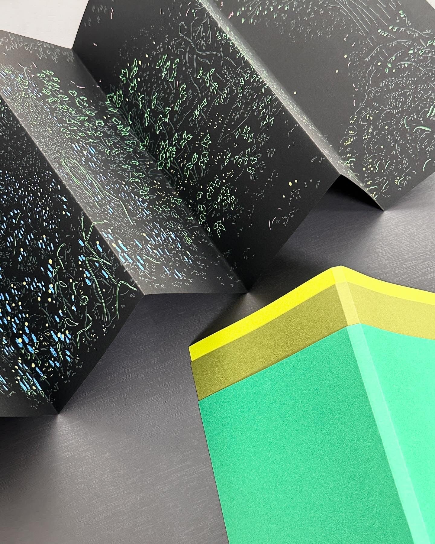 Hidden Forest - PAPER PLATE 페이퍼플레이트 - CAVA LIFE