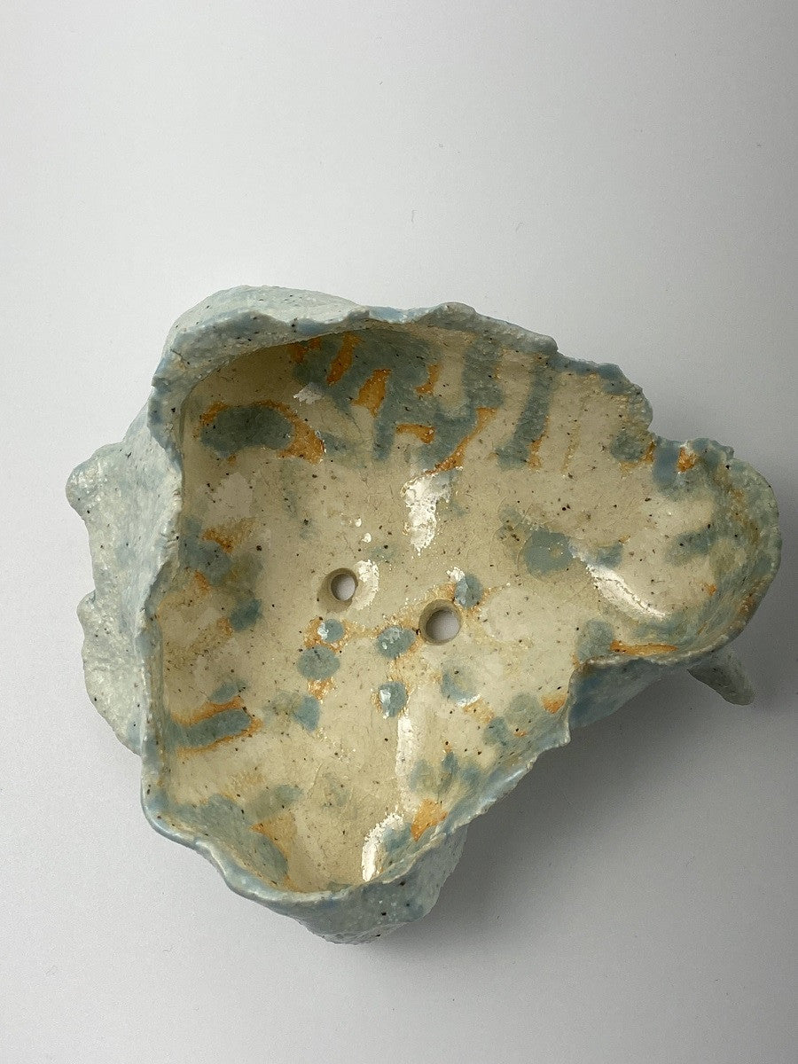 하늘에서 온 나무껍질 - khoikos 코이코스 - CAVA LIFE