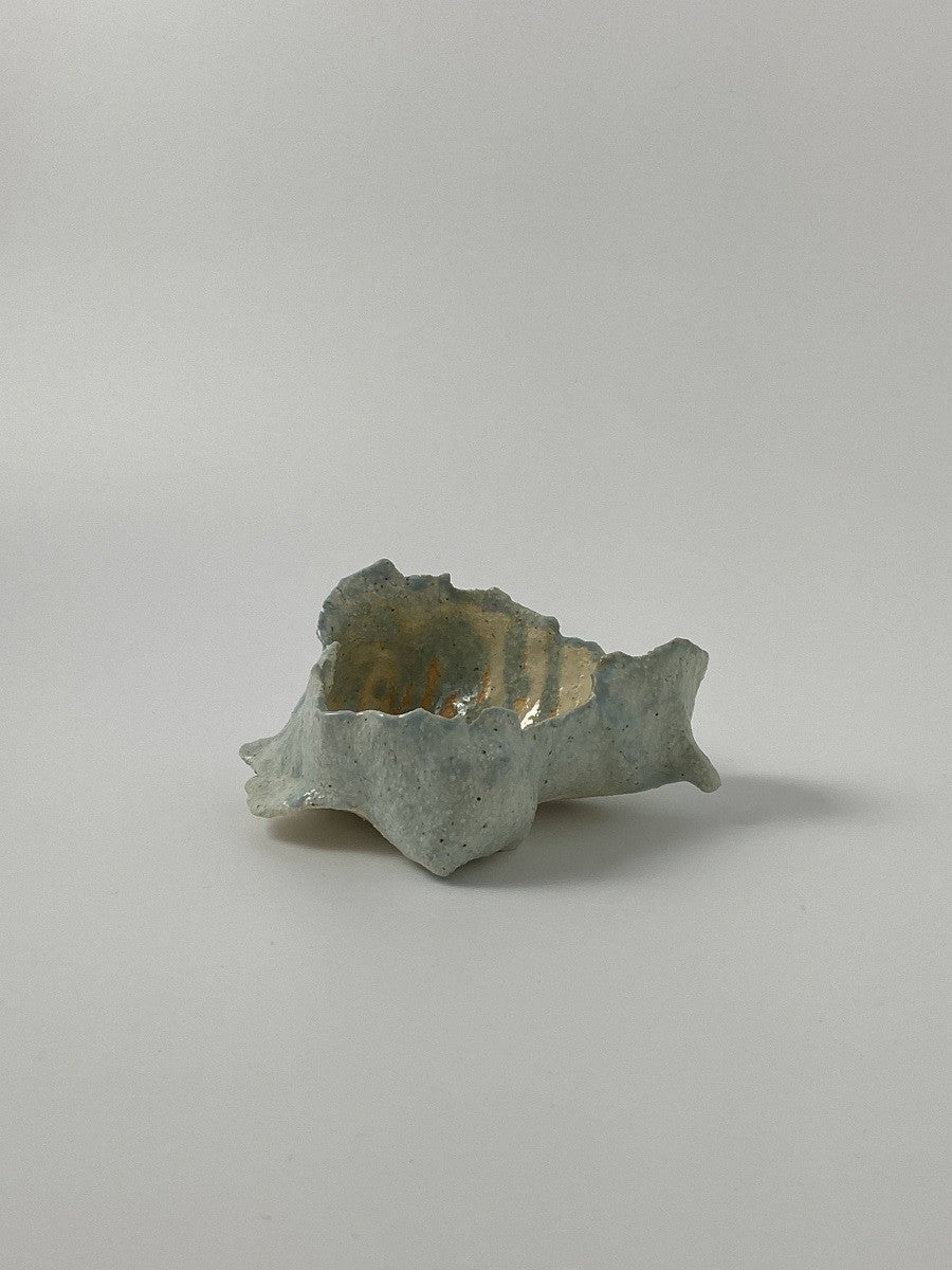 하늘에서 온 나무껍질 - khoikos 코이코스 - CAVA LIFE