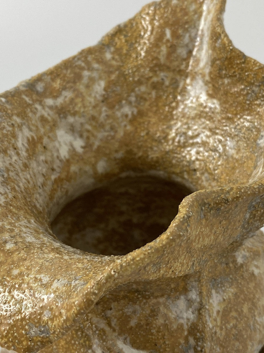 낙엽 화분 - khoikos 코이코스 - CAVA LIFE