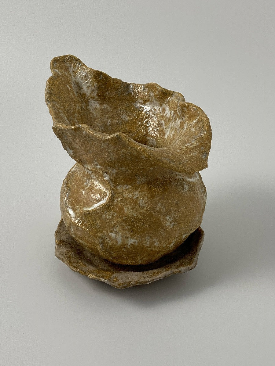 낙엽 화분 - khoikos 코이코스 - CAVA LIFE