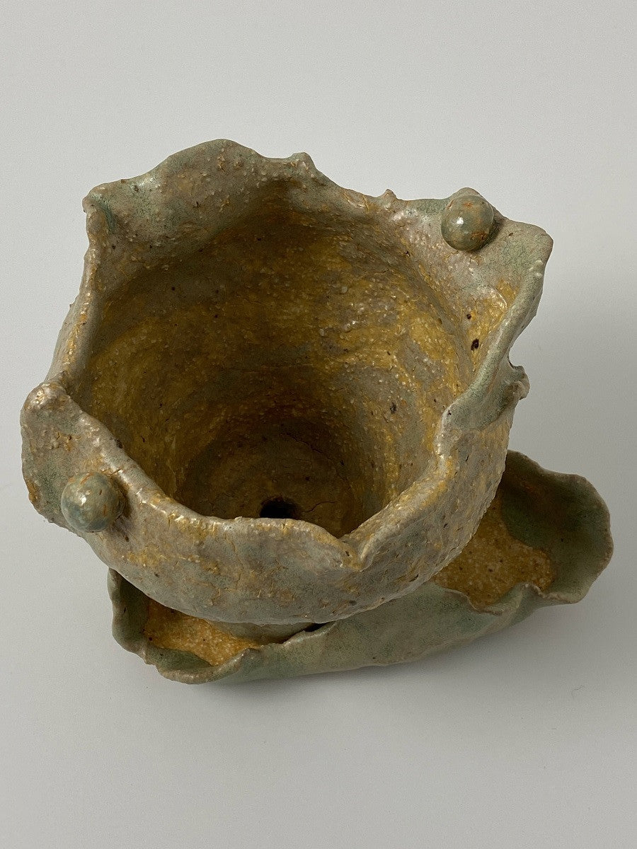 실프의 화분 - khoikos 코이코스 - CAVA LIFE