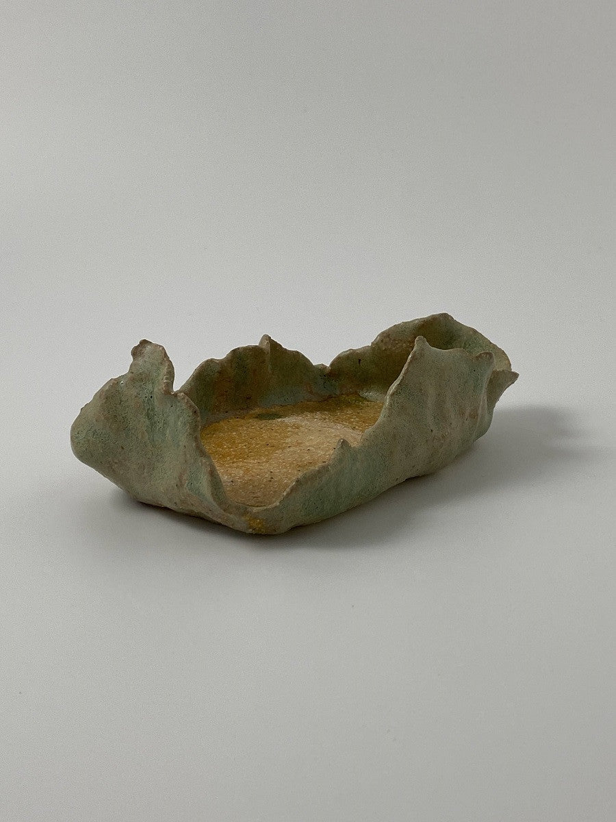 실프의 화분 - khoikos 코이코스 - CAVA LIFE