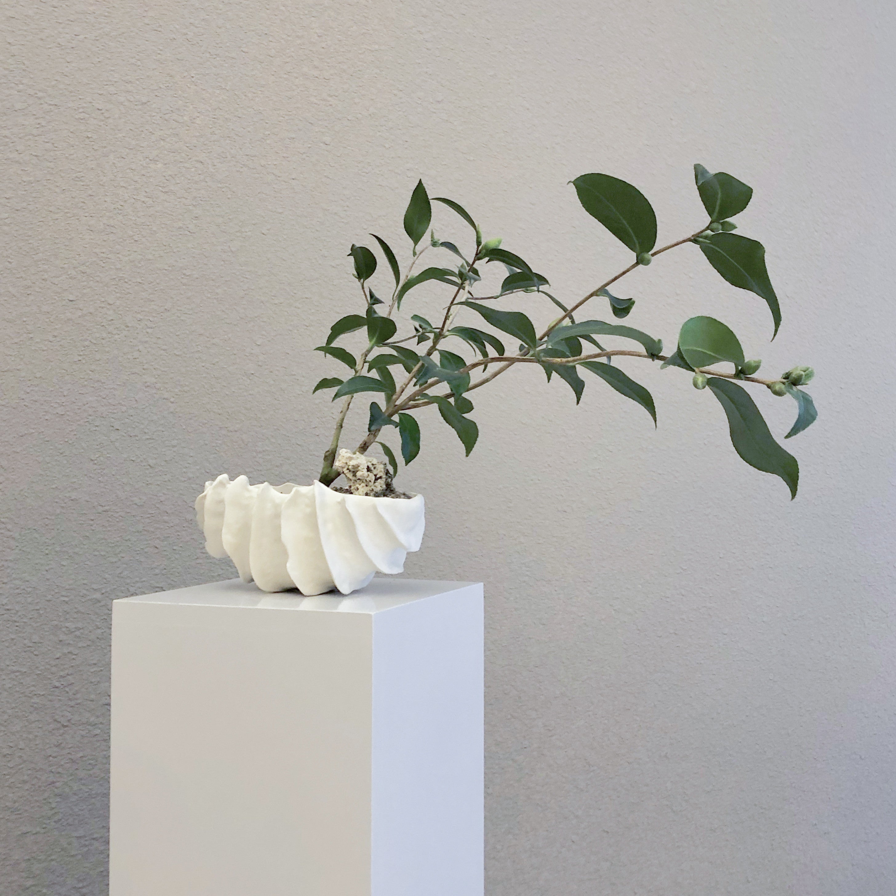 화석분 #6 - light&stilllife 조민제/빛과정물 - CAVA LIFE