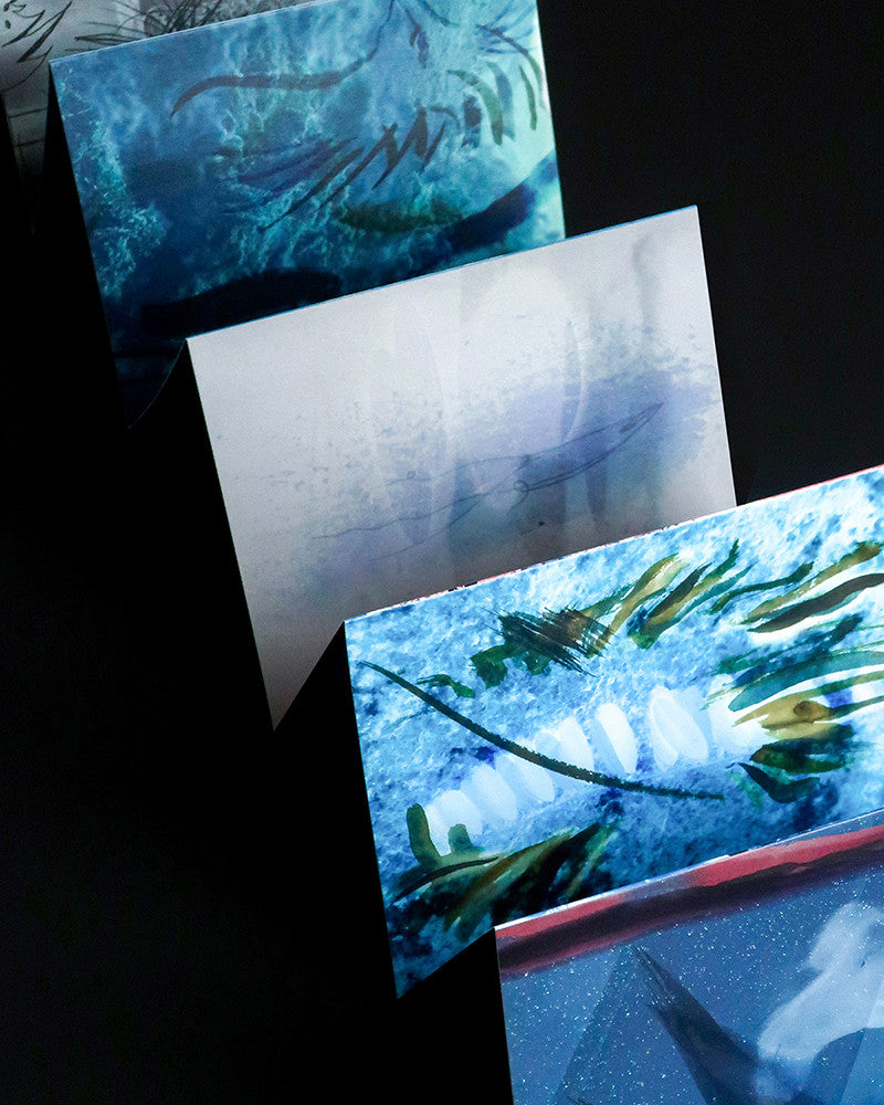 색횡단자 - Foams Of Wave 파도의 거품들 - CAVA LIFE