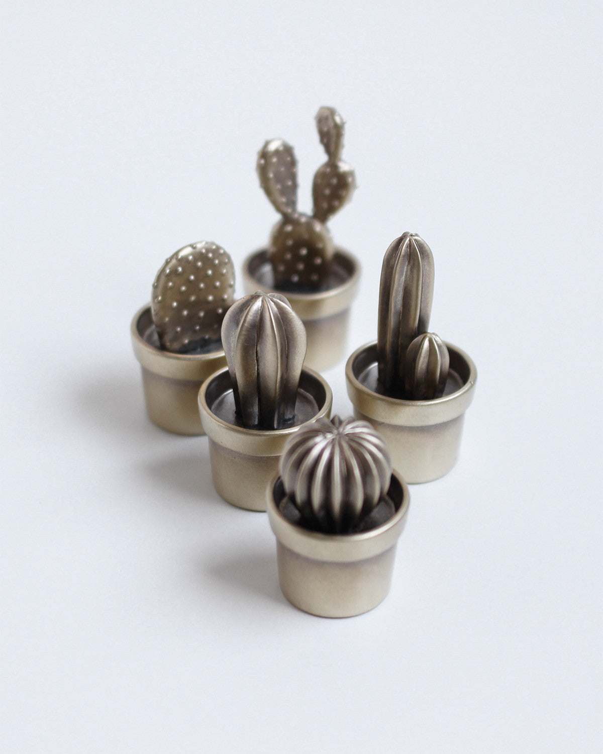 cacti decorative object - Next Green Door - CAVA LIFE