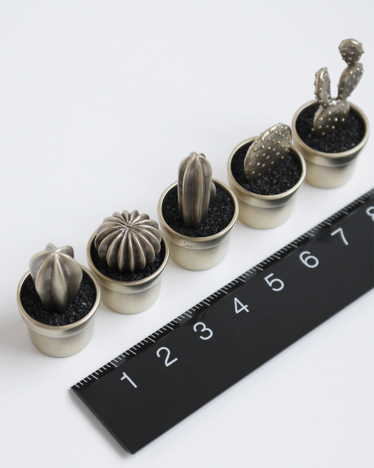 cacti decorative object - Next Green Door - CAVA LIFE