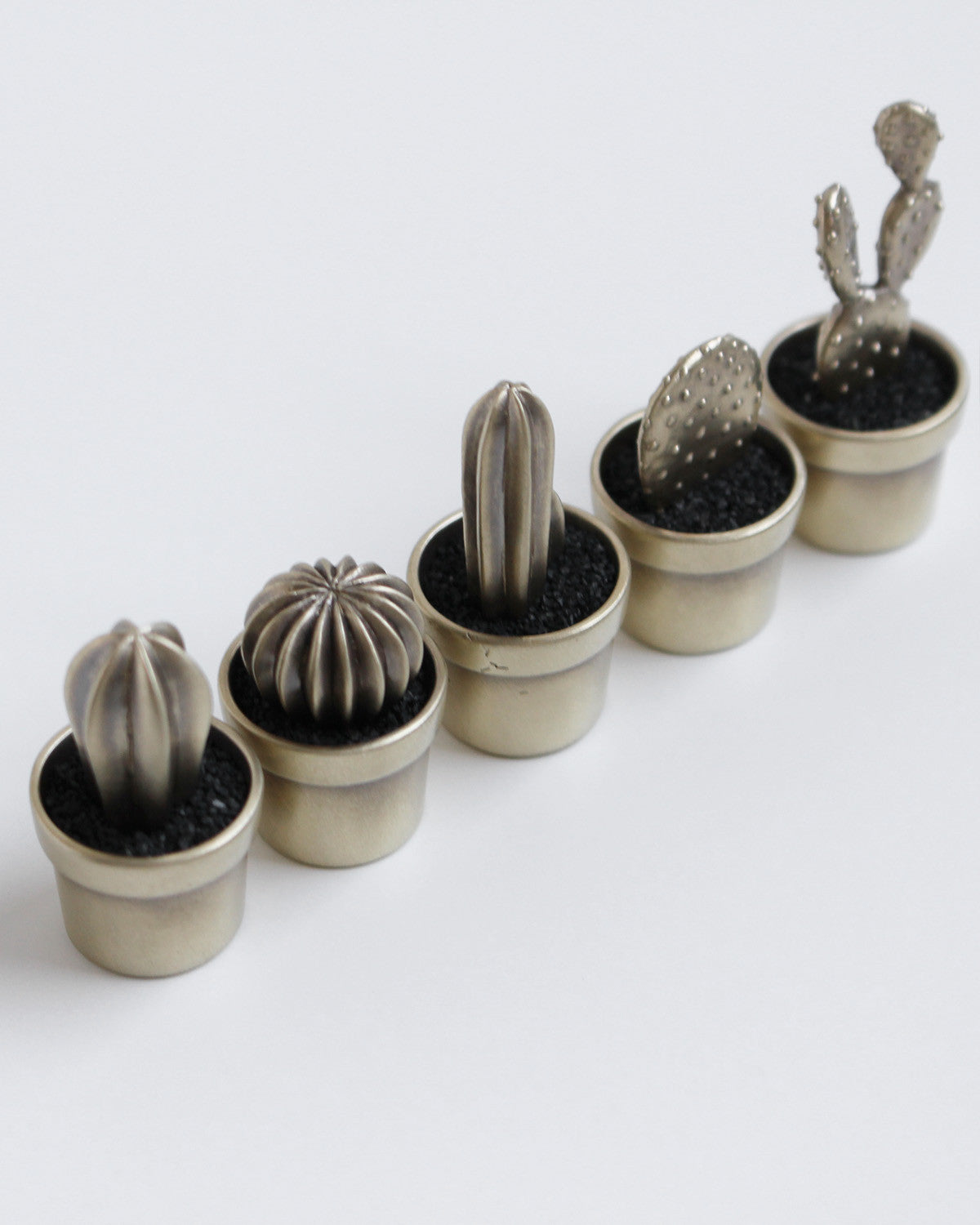 cacti decorative object - Next Green Door - CAVA LIFE