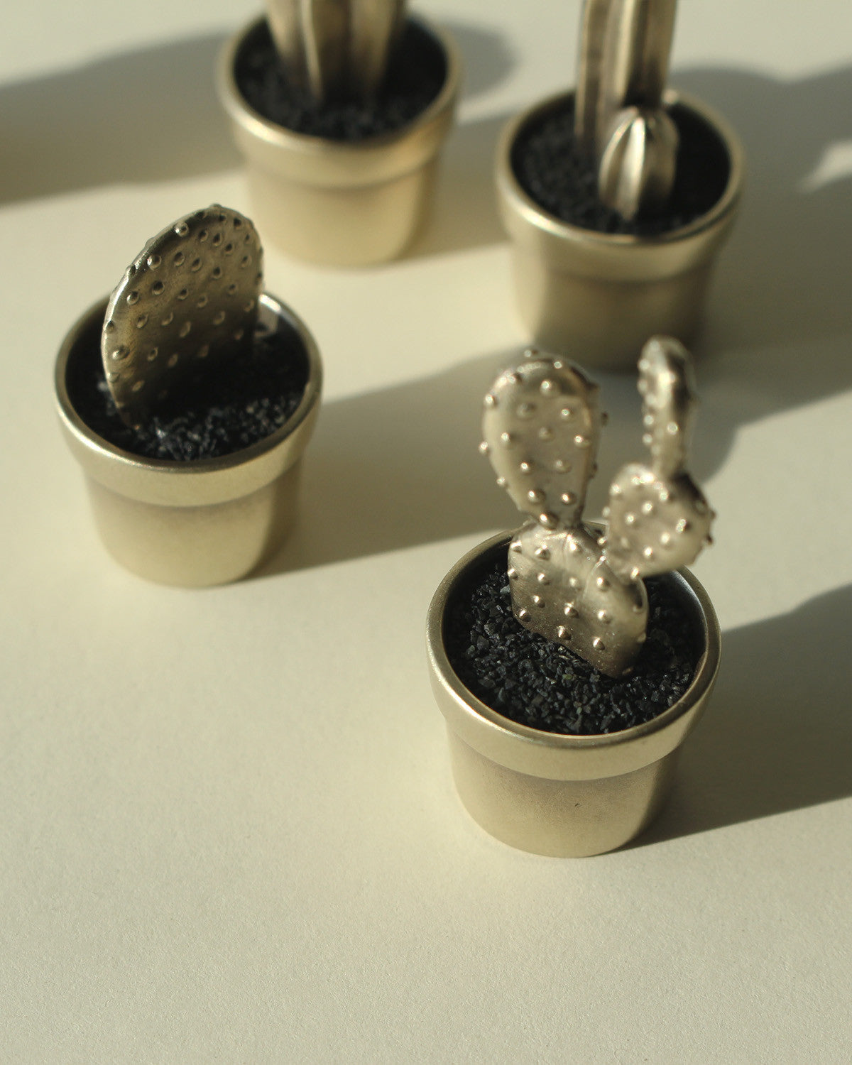 cacti decorative object - Next Green Door - CAVA LIFE