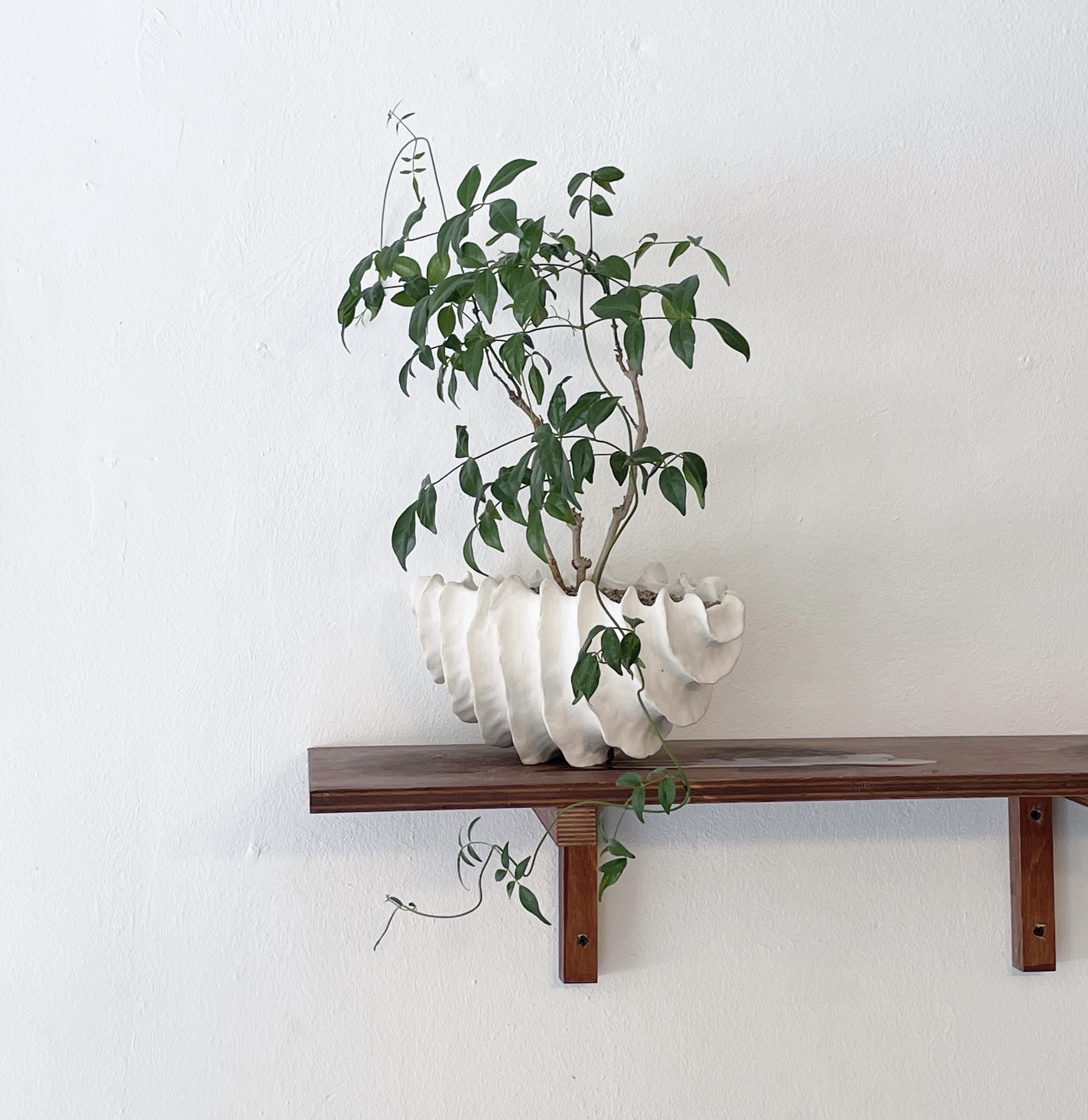 화석분 #6 - light&stilllife 조민제/빛과정물 - CAVA LIFE