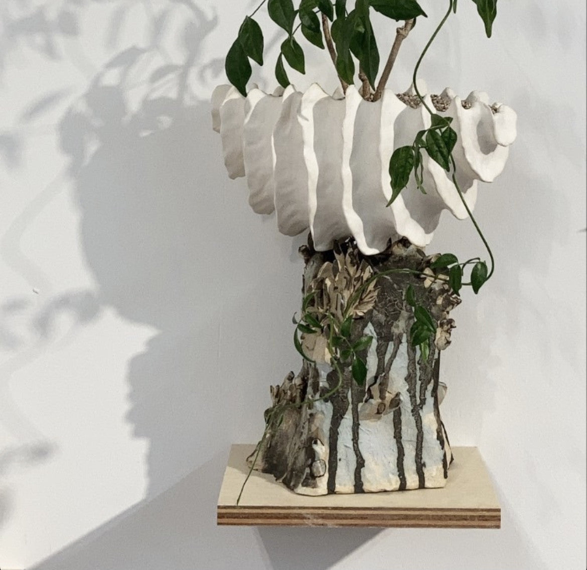 화석분 #6 - light&stilllife 조민제/빛과정물 - CAVA LIFE