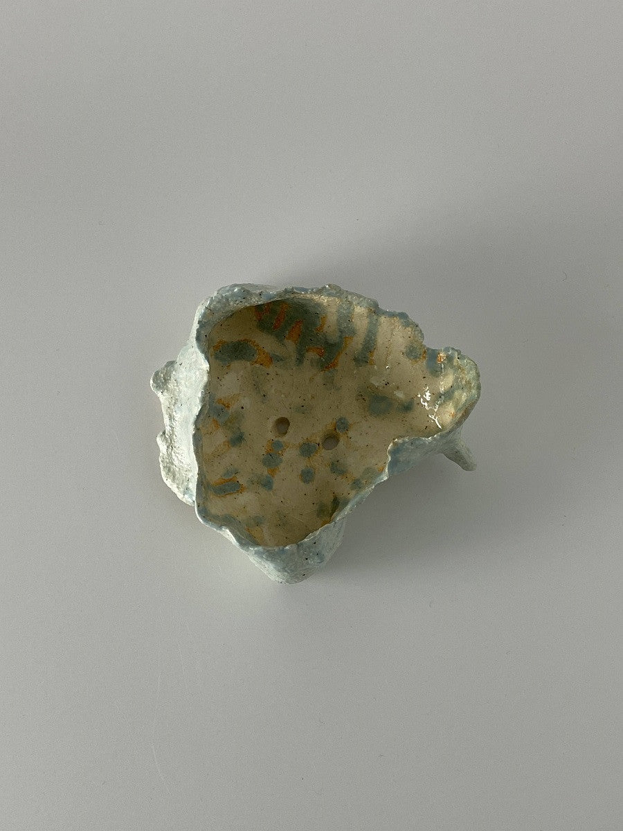 하늘에서 온 나무껍질 - khoikos 코이코스 - CAVA LIFE