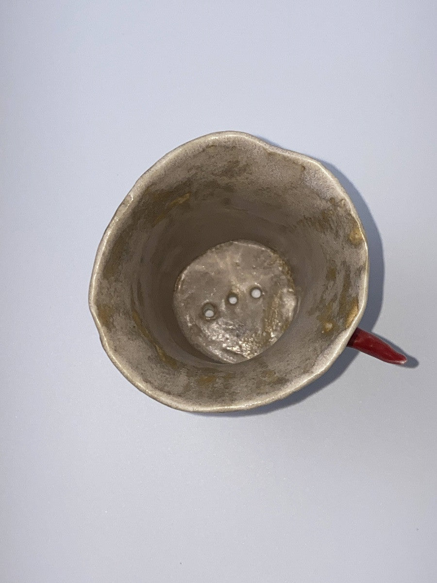 가시 화분 - khoikos 코이코스 - CAVA LIFE