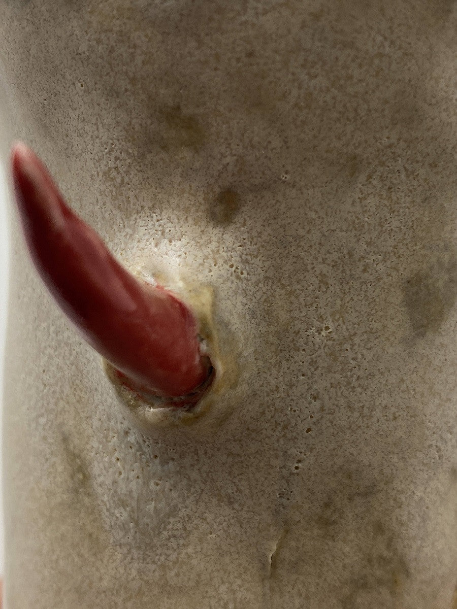 가시 화분 - khoikos 코이코스 - CAVA LIFE