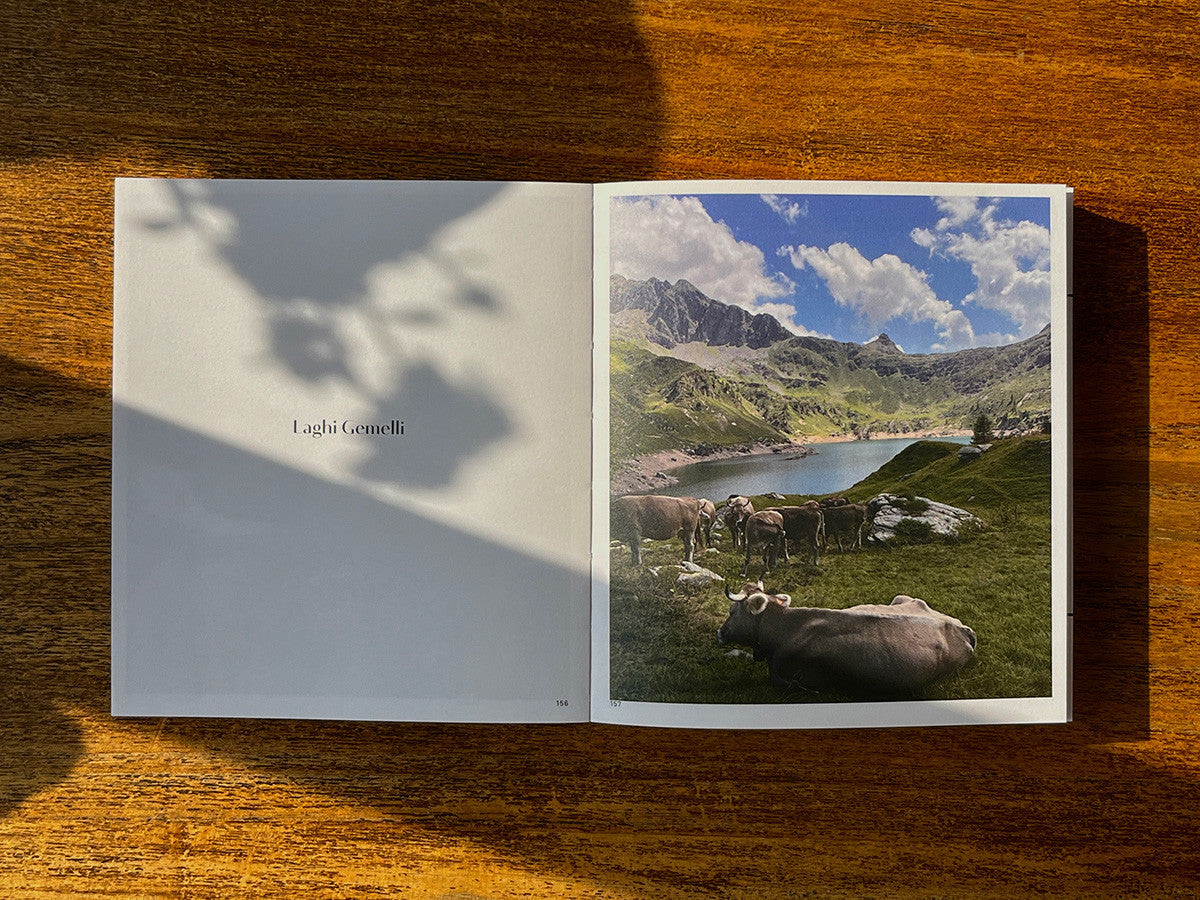 Italic - rojotype 로호타입 - CAVA LIFE