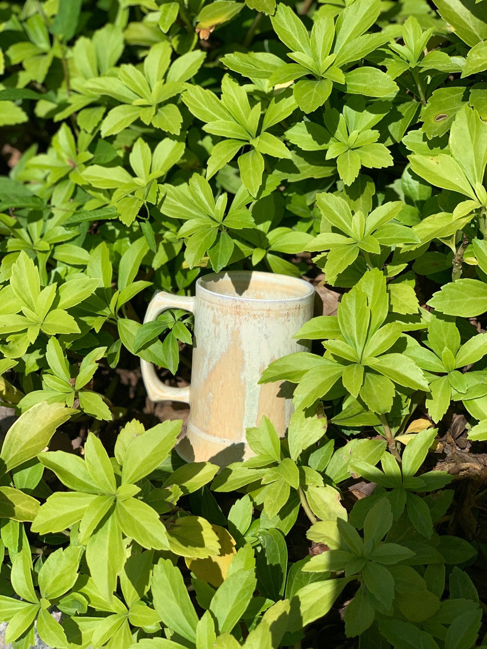 릴리 머그컵 - Relié studio 릴리스튜디오 - CAVA LIFE