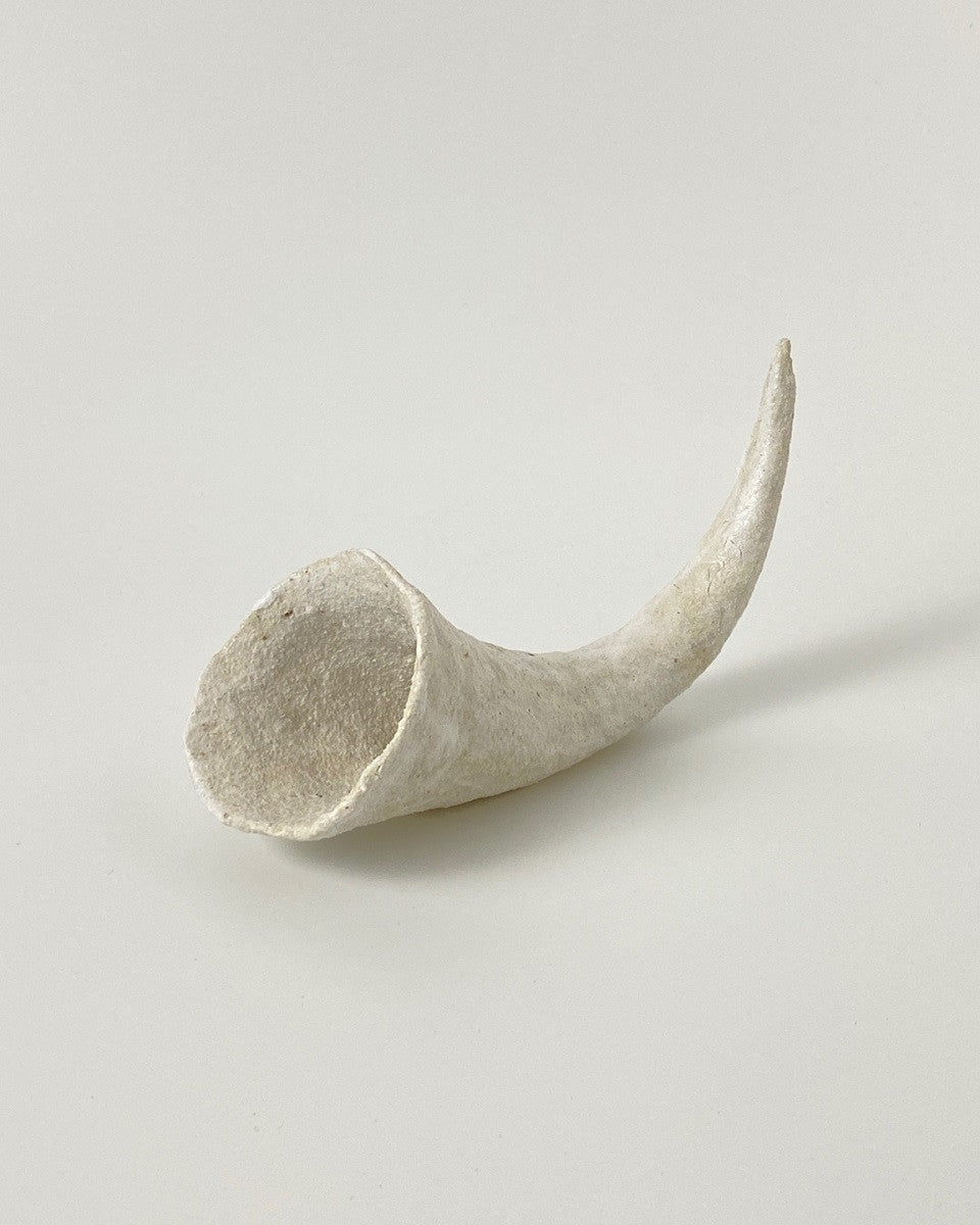 천상의 호른 1 - khoikos 코이코스 - CAVA LIFE