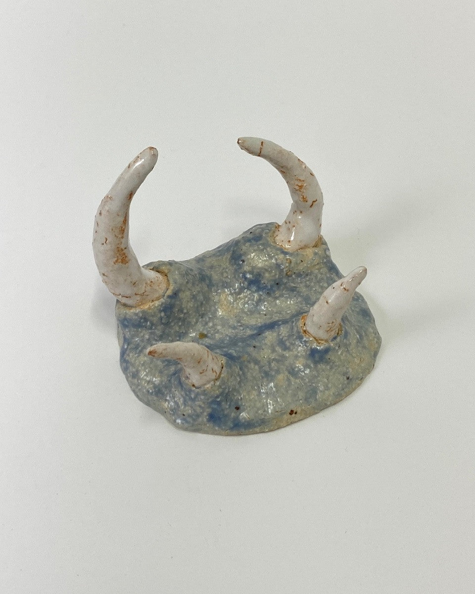 대지의 송곳니 - khoikos 코이코스 - CAVA LIFE