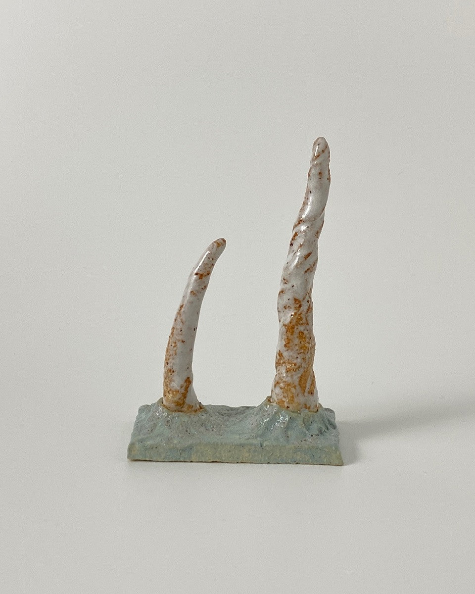 대지 위 두개의 뿔 - khoikos 코이코스 - CAVA LIFE