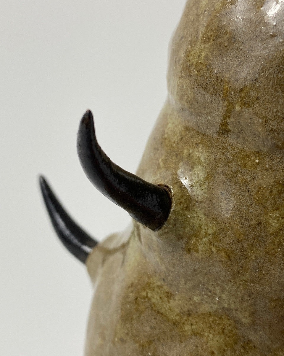 늪지의 수호자 - khoikos 코이코스 - CAVA LIFE