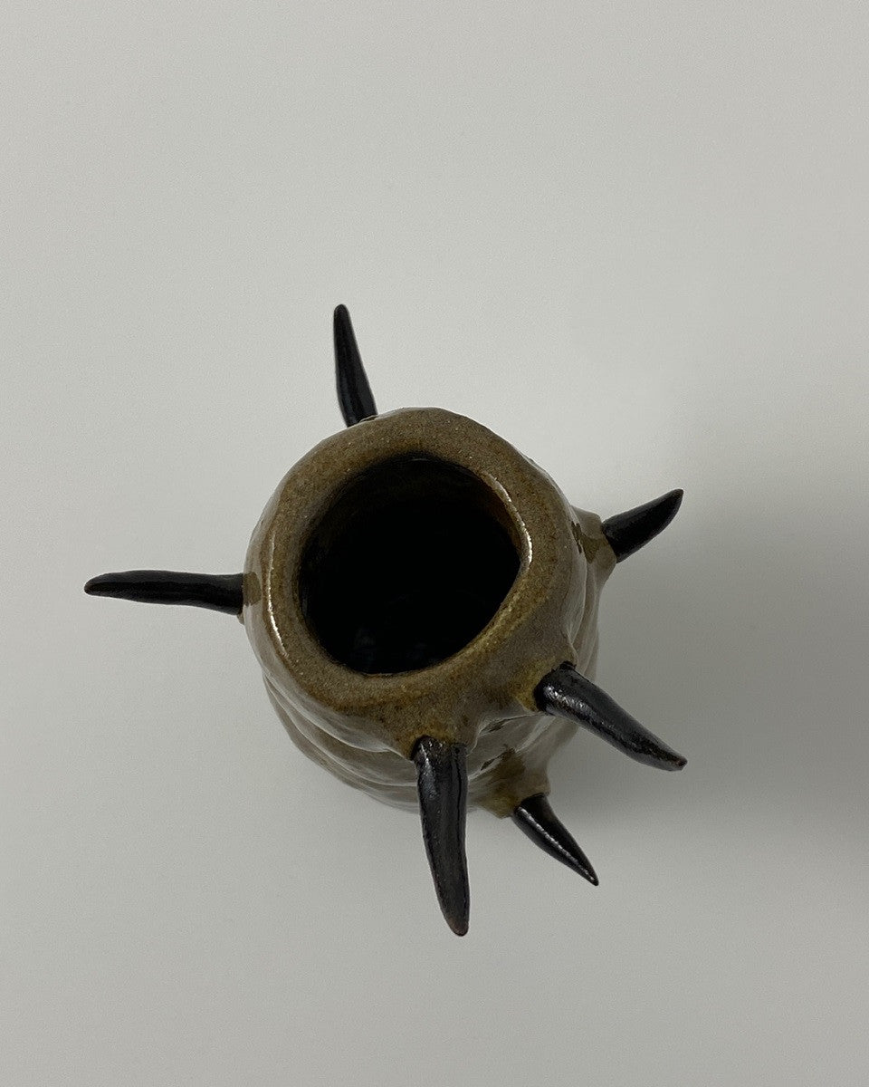 늪지의 수호자 - khoikos 코이코스 - CAVA LIFE