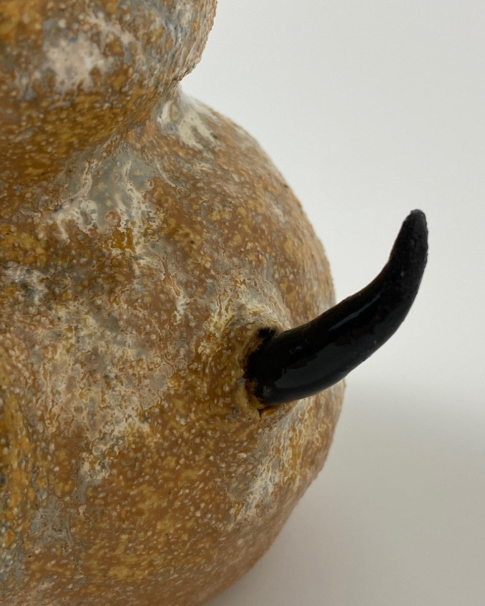 사막의 수호자 - khoikos 코이코스 - CAVA LIFE