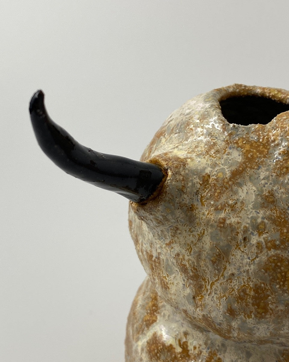 사막의 수호자 - khoikos 코이코스 - CAVA LIFE