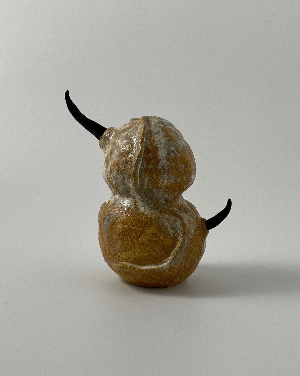 사막의 수호자 - khoikos 코이코스 - CAVA LIFE