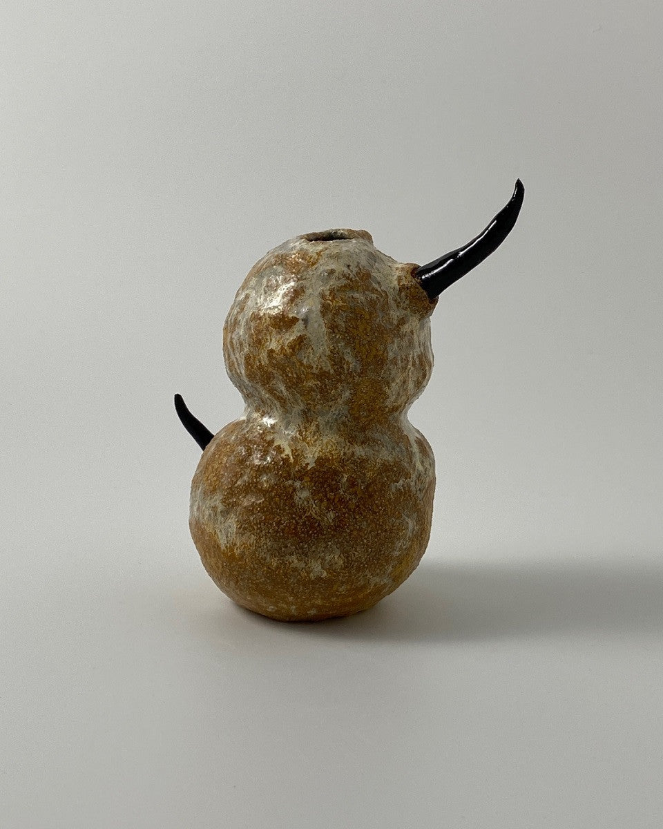 사막의 수호자 - khoikos 코이코스 - CAVA LIFE