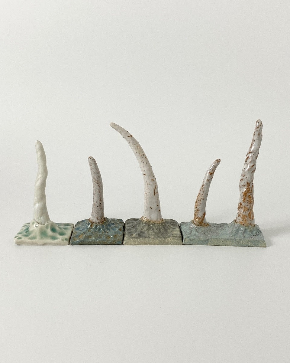 대지의 일각 - khoikos 코이코스 - CAVA LIFE