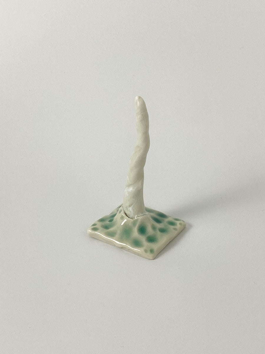 대지의 일각 - khoikos 코이코스 - CAVA LIFE