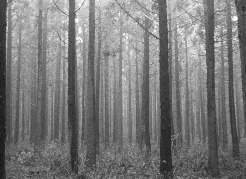 Rocking Chair - boseol 보설 - CAVA LIFE