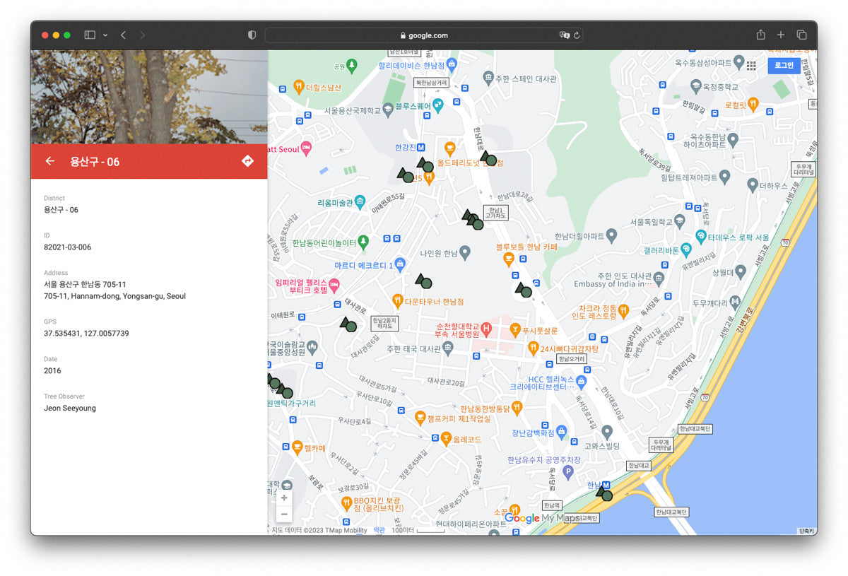 서울 나무 프린트: 82021–03–006 - Jeon Seeyoung 전시영 - CAVA LIFE