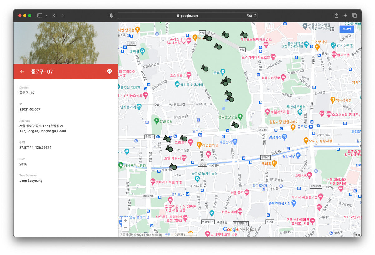 서울 나무 프린트: 82021–02–007 - Jeon Seeyoung 전시영 - CAVA LIFE