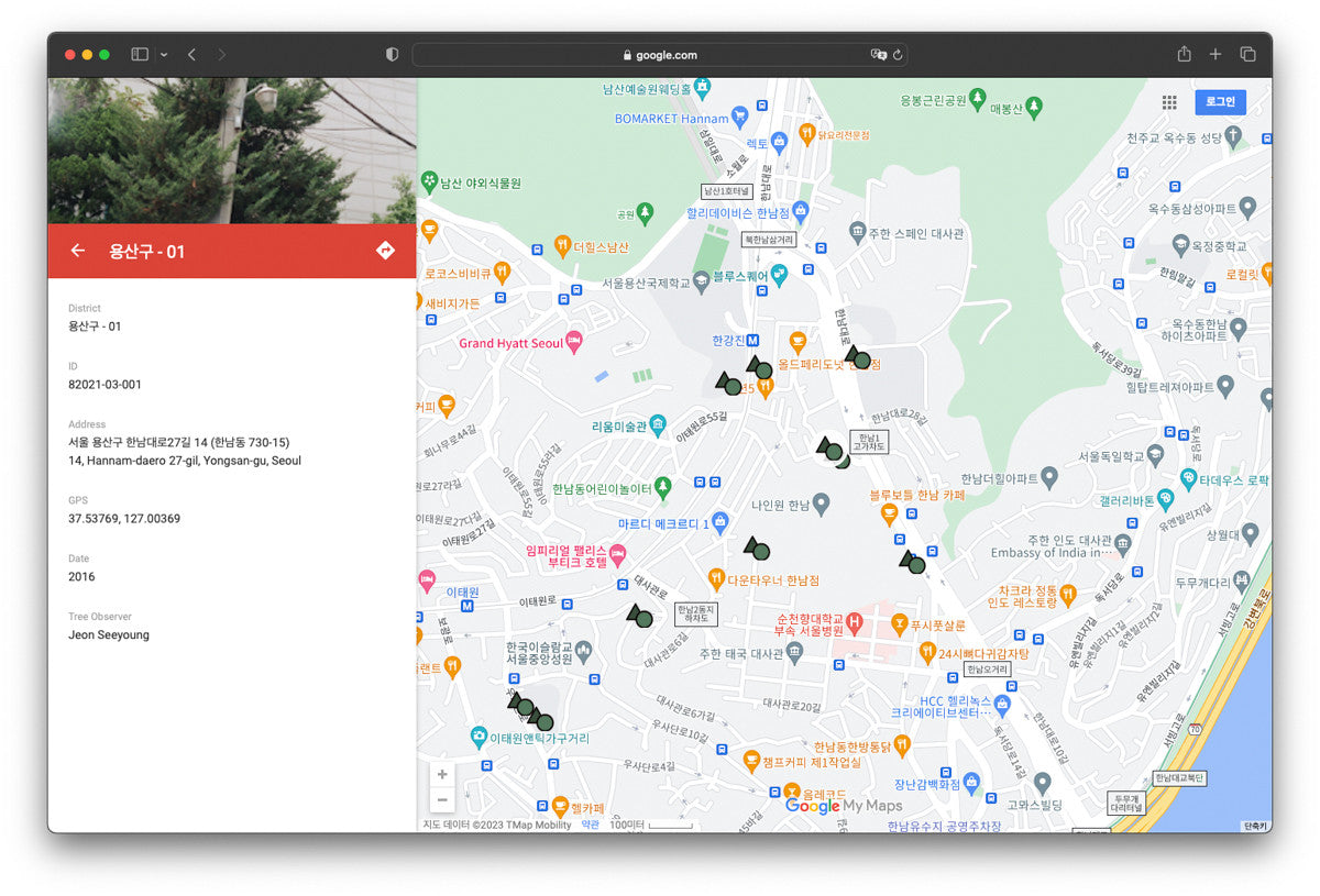 서울 나무 프린트: 82021–03–001 - Jeon Seeyoung 전시영 - CAVA LIFE