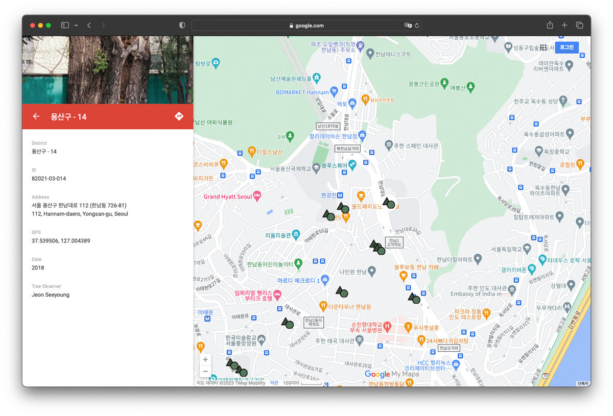 서울 나무 프린트: 82021–03–014 - Jeon Seeyoung 전시영 - CAVA LIFE