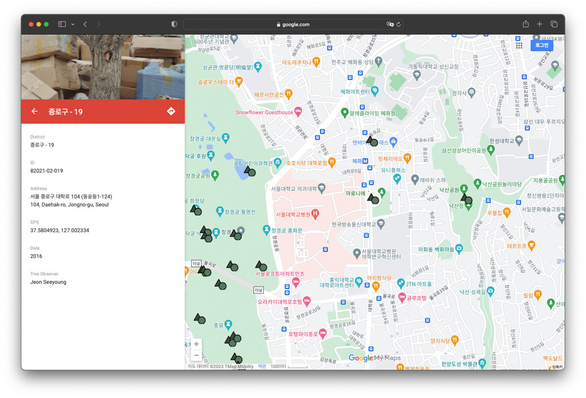 서울 나무 프린트: 82021–02–019 - Jeon Seeyoung 전시영 - CAVA LIFE