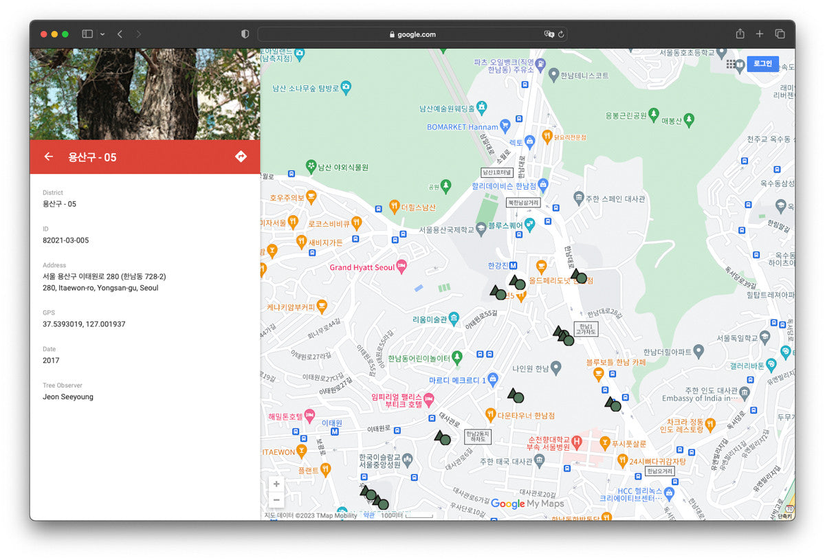 서울 나무 프린트: 82021–03–005 - Jeon Seeyoung 전시영 - CAVA LIFE