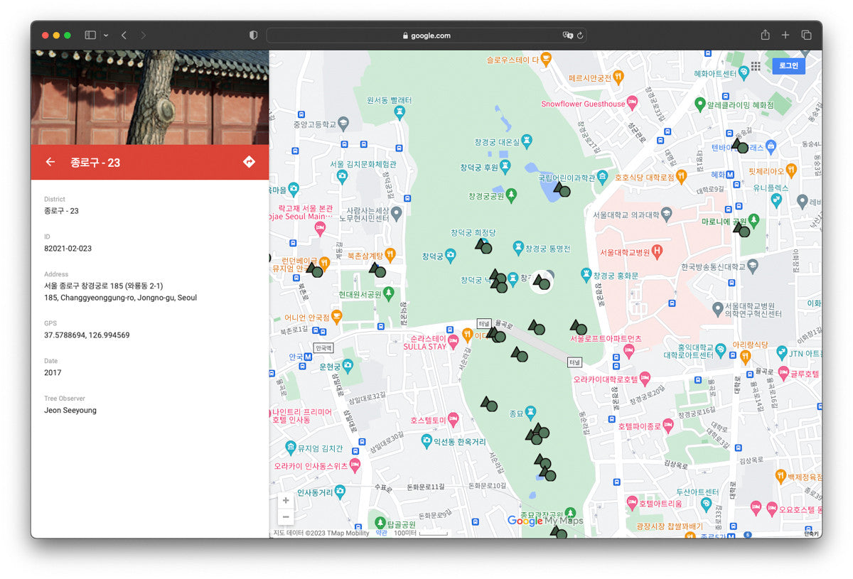 서울 나무 프린트: 82021–02–023 - Jeon Seeyoung 전시영 - CAVA LIFE