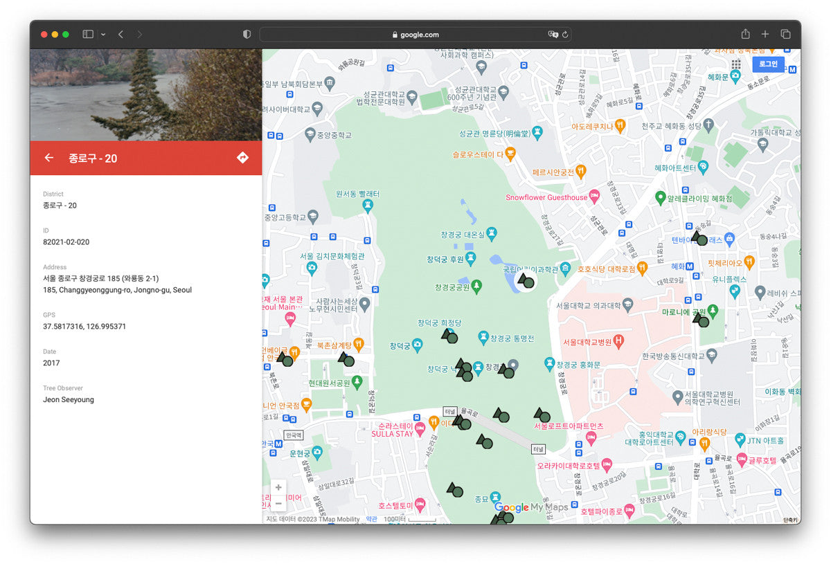 서울 나무 프린트: 82021–02–020 - Jeon Seeyoung 전시영 - CAVA LIFE