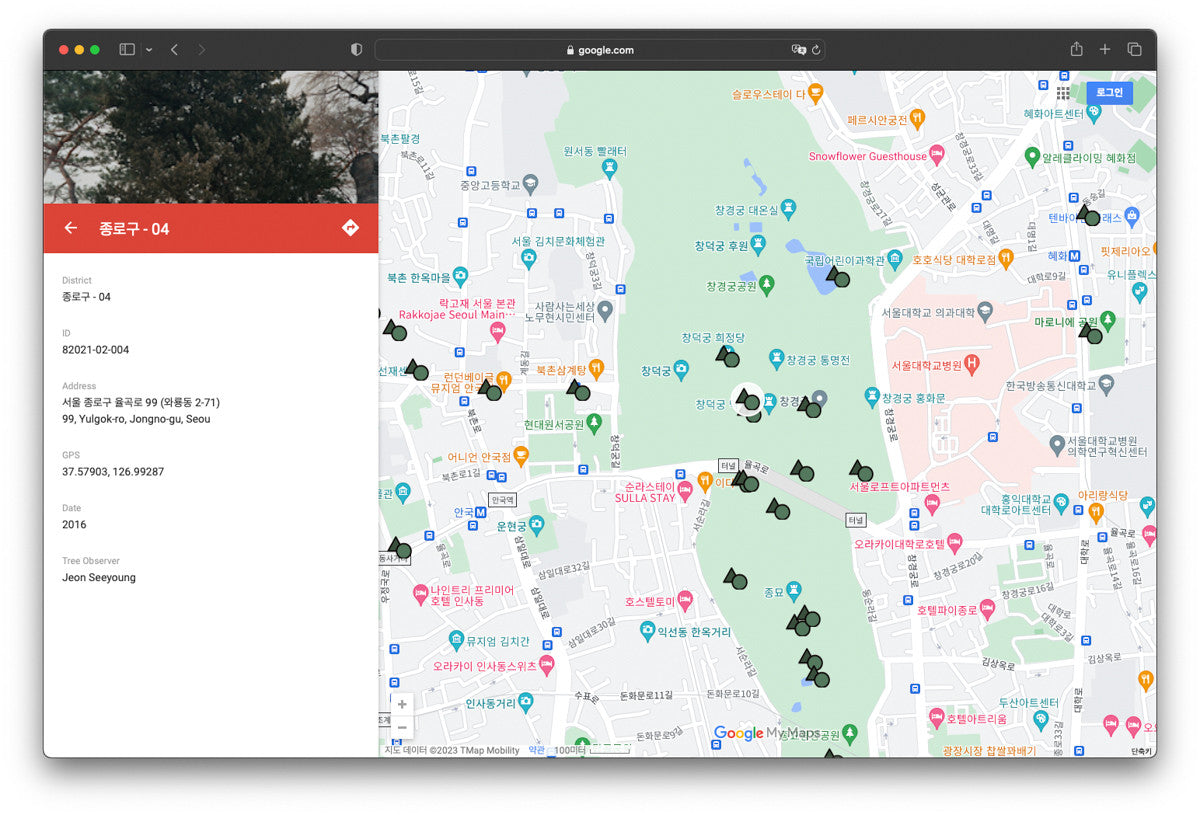 서울 나무 프린트: 82021–02–004 - Jeon Seeyoung 전시영 - CAVA LIFE