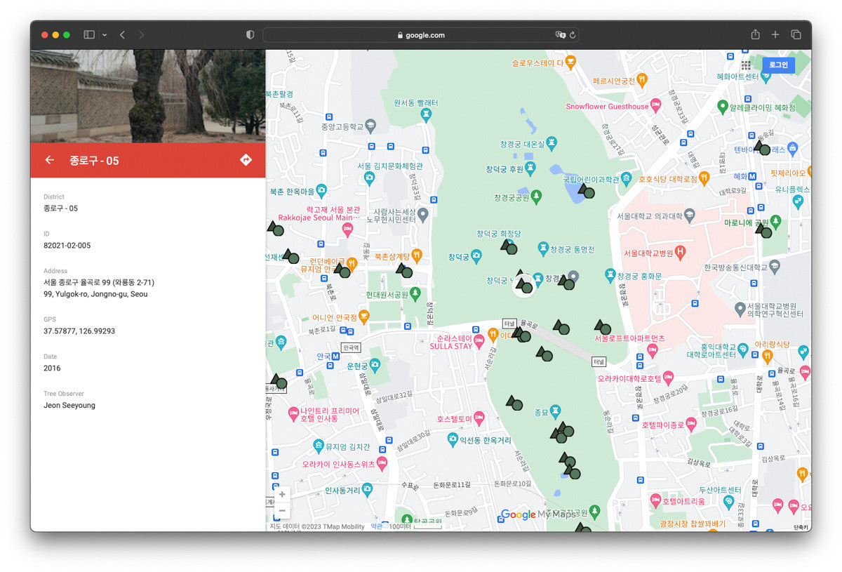 서울 나무 프린트: 82021–02–005 - Jeon Seeyoung 전시영 - CAVA LIFE