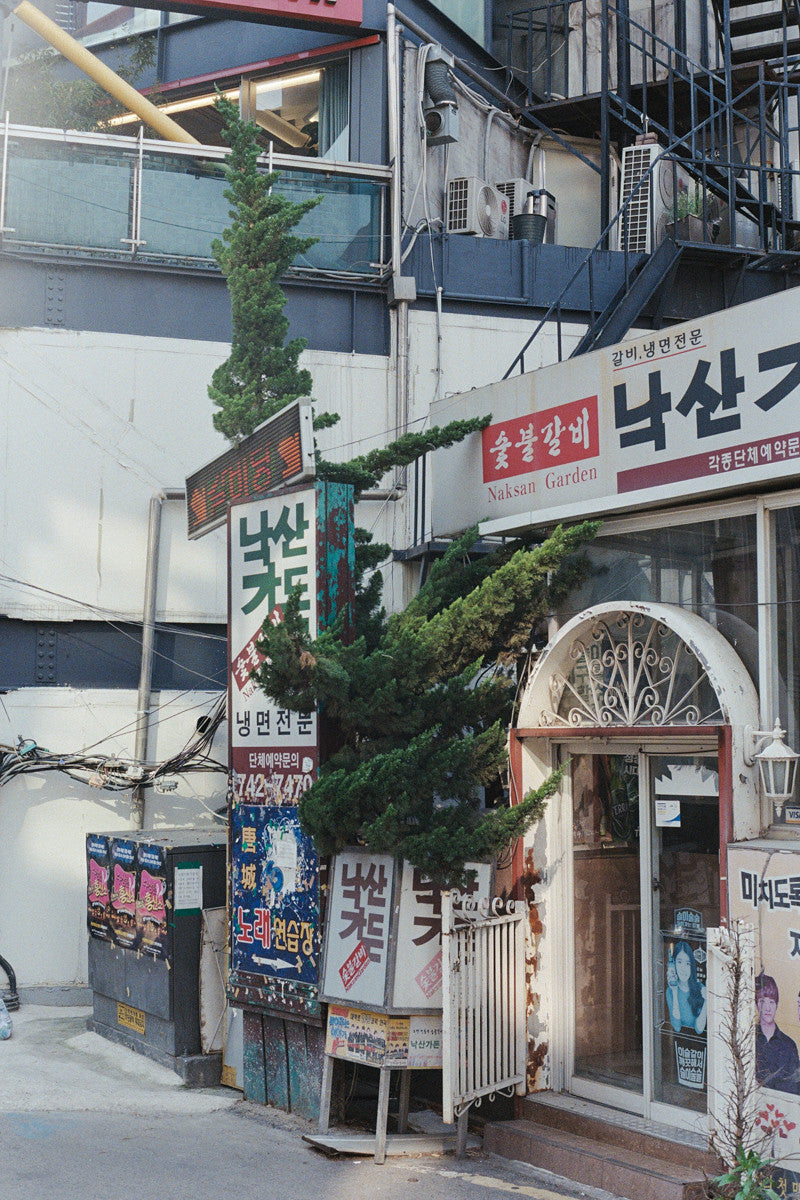 서울 나무 프린트: 82021–02–041 - Jeon Seeyoung 전시영 - CAVA LIFE