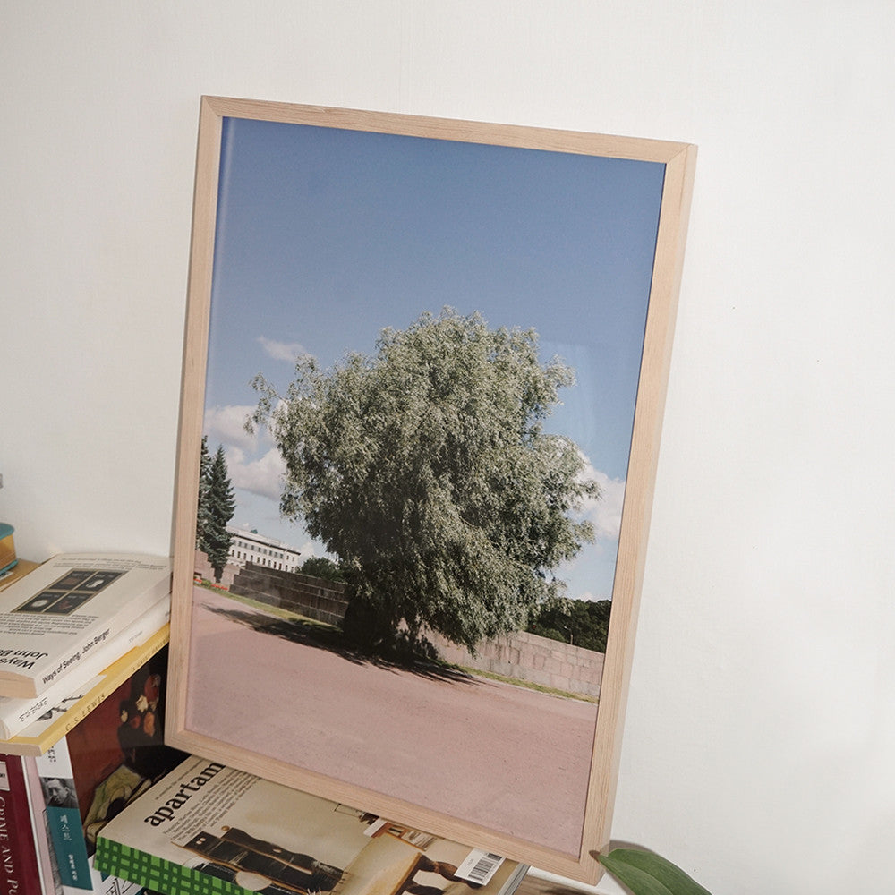The tree photoprint - Oat Archive 오트아카이브 - CAVA LIFE