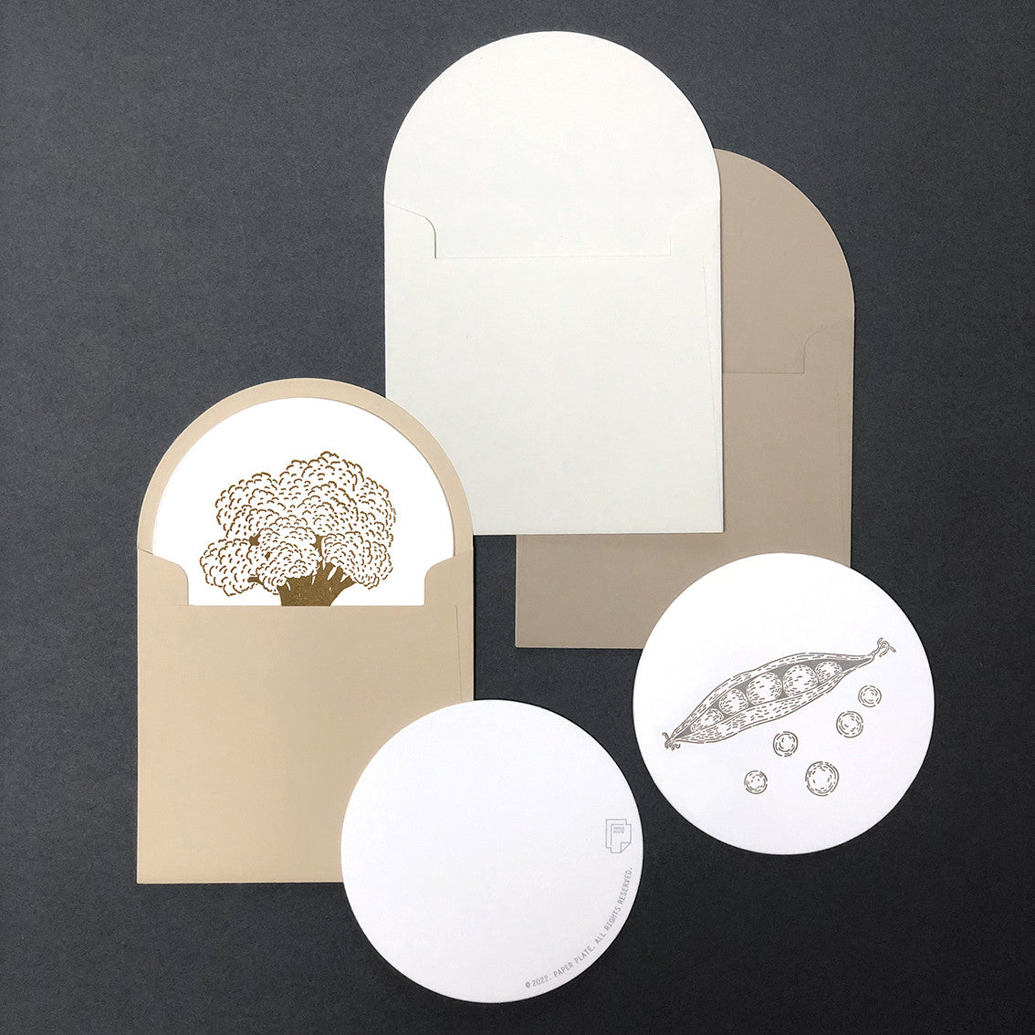 [A PLATE] Vegetable Universe (메세지 카드) - PAPER PLATE 페이퍼플레이트 - CAVA LIFE