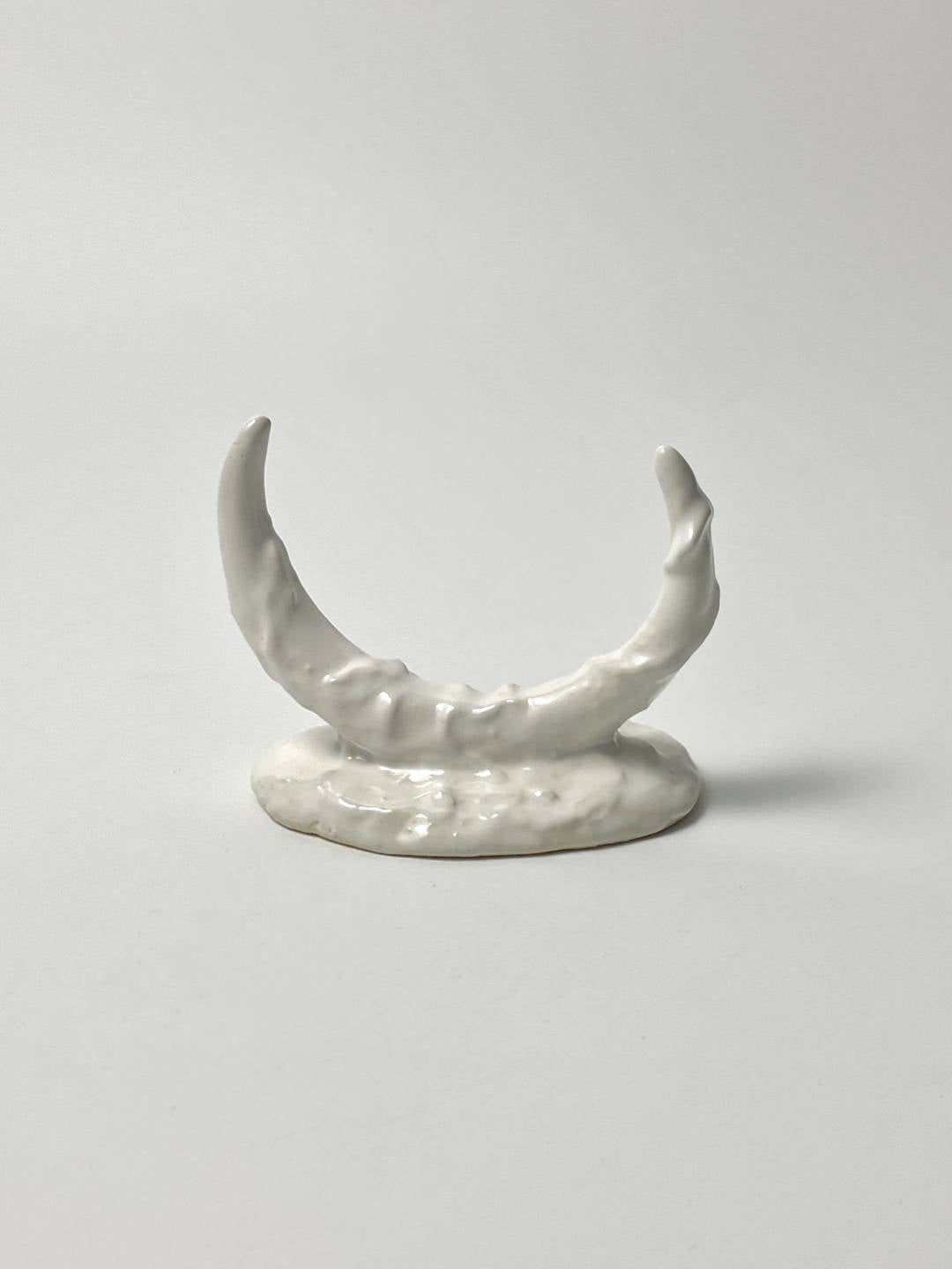 Rib of soil - glossy white