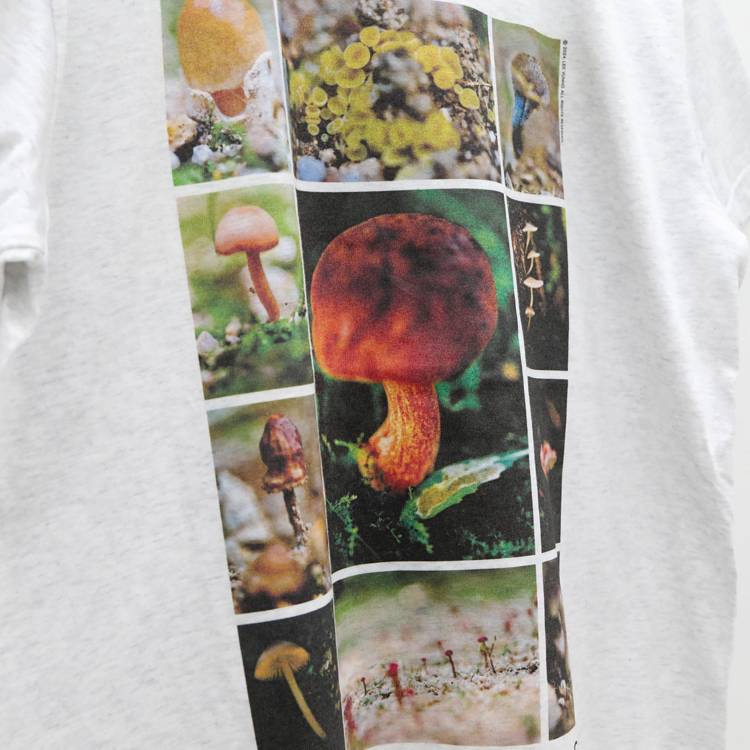 이윤호 '한국의 버섯' T-SHIRT