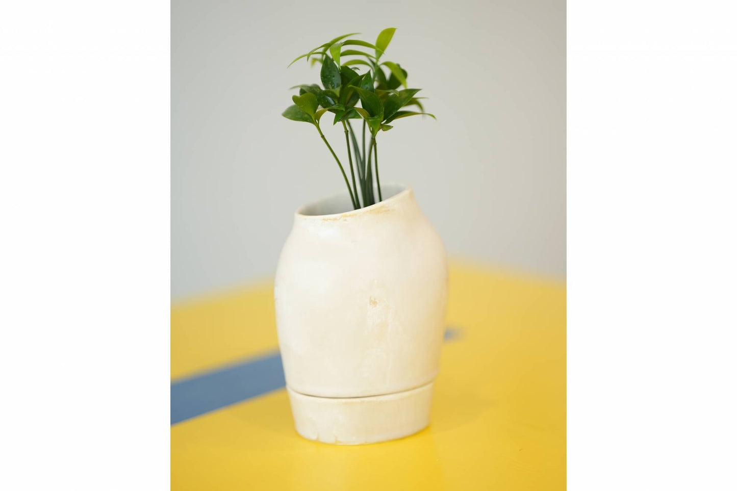 인미로 화분 GOYO